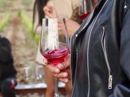 Festival Mar de Tethys 2026 - Bodega Vetas